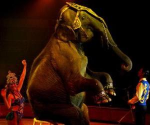 Puzzle Ελέφαντας στο τσίρκο